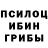 Псилоцибиновые грибы прущие грибы Pastorale Dragndrop