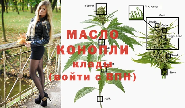 СК Богородицк