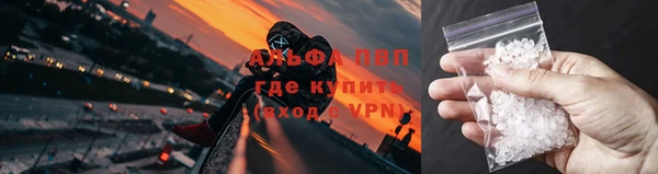 прущие крисы Богданович