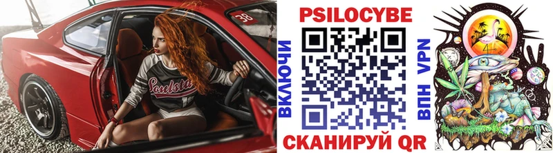 Купить закладки  Багратионовск  Галлюциногенные грибы MAGIC MUSHROOMS 